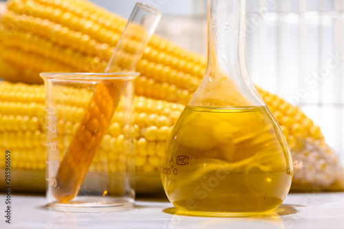 Biofuel or Corn Syrup, gaso...