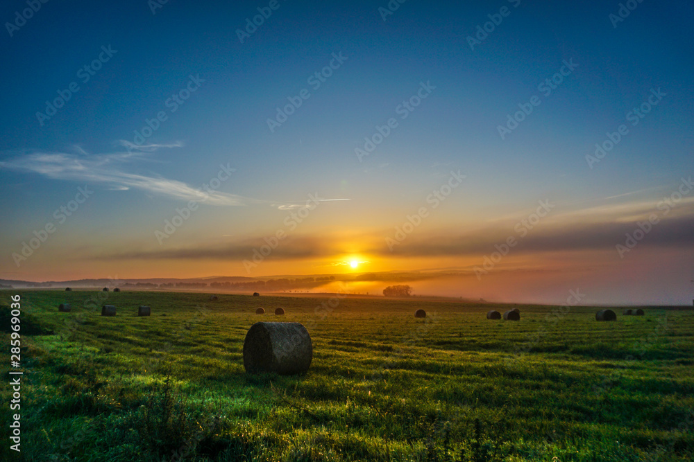 sunrise over wheat field