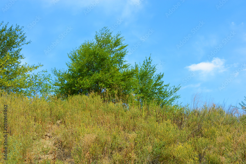 Beautiful natural background with an unusual landscape and forest beauty near the Samara River. Green hills, trees, shrubs with bright sky in the Shevchenko housing estate, Dnipro city, Ukraine. Beautiful natural background with an unusual landscape and forest beauty near the Samara River. Green hills, trees, shrubs with bright sky in the Shevchenko housing estate, Dnipro city, Ukraine.