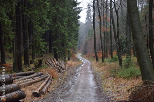 Hiking tour adventure teutoburger wald