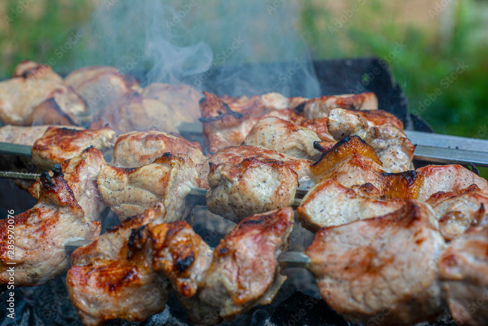 Pork roasted over the coals. Closeup of a barbecue with smoke in the foreground. Pork roasted over the coals. Closeup of a barbecue with smoke in the foreground.