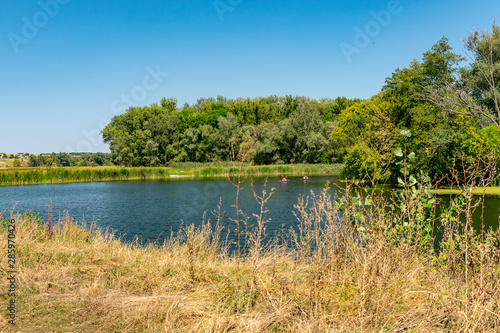 On a river on a sunny summer day against a background of green trees
