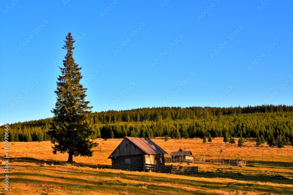 a hut in the field in the fall a hut in the field in the fall