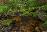 Skrivan creek in Krusne mountains in summer nice sunny day