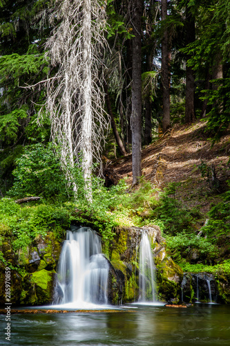 Long exposure of a short waterfall with a dead white tree in Oregon