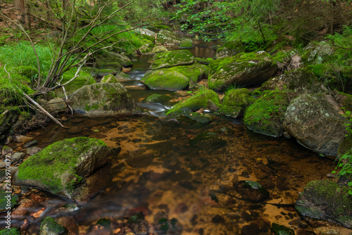 Skrivan creek in Krusne mountains in summer nice sunny day