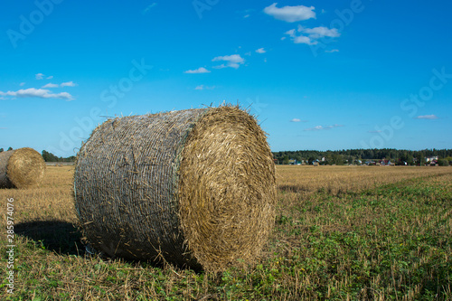 haystack on a village field on a sunny day