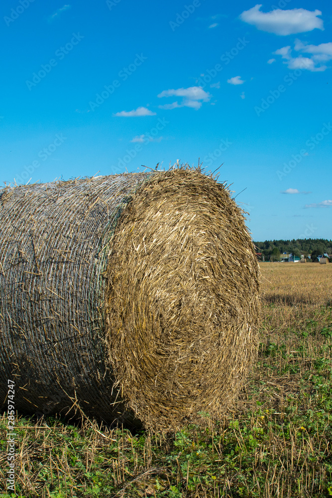 haystack on a village field on a sunny day haystack on a village field on a sunny day