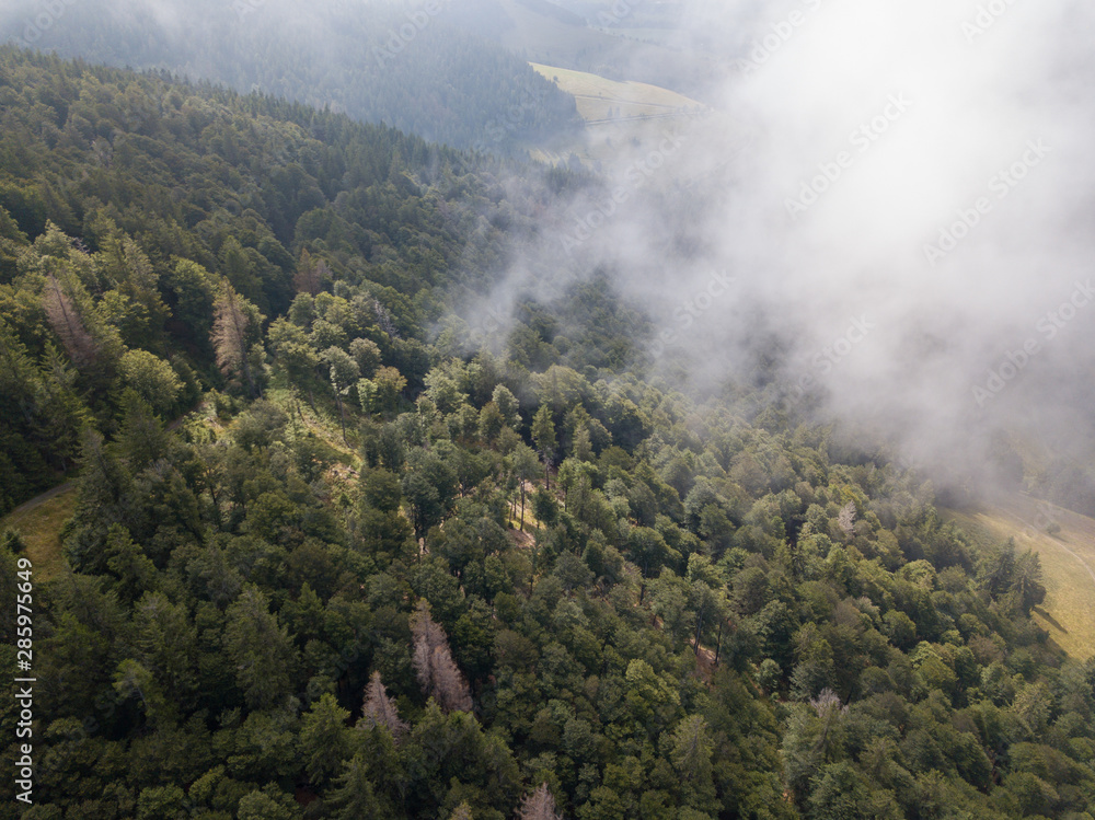 Schwarzwald aus der Luft