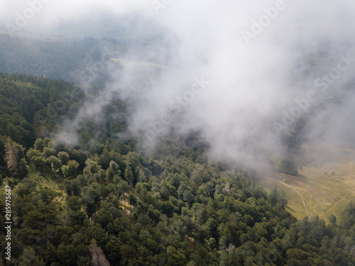 Schwarzwald aus der Luft © Volker Loche