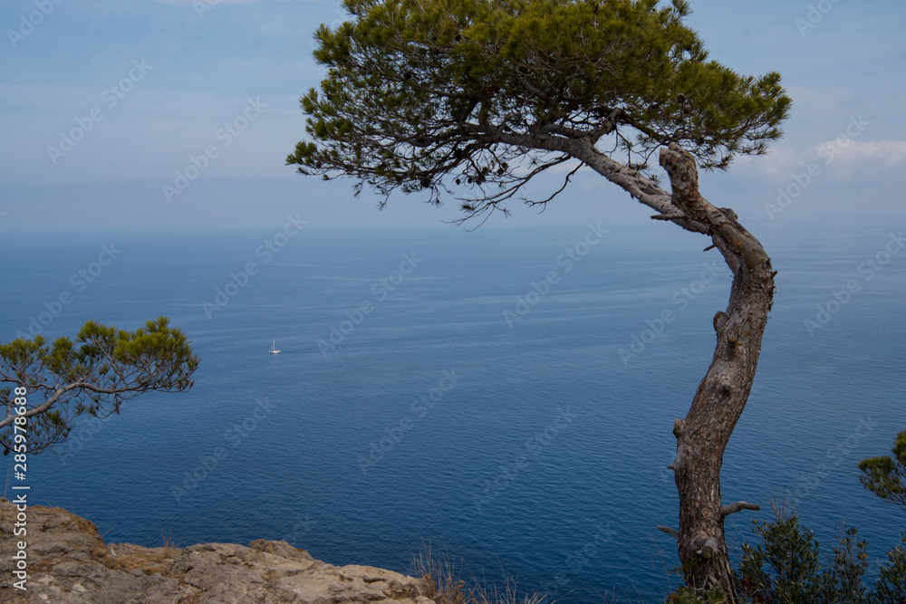 Island Scenery, Seascape Of Mallorca Spain. Idyllic Coastline Of Majorca, Mediterranean Sea On Sunny Island Scenery, Seascape Of Mallorca Spain. Idyllic Coastline Of Majorca, Mediterranean Sea On Sunny