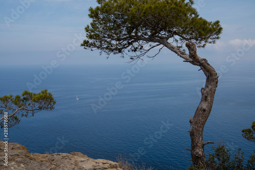 Fototapeta Naklejka Na Ścianę i Meble -  Island Scenery, Seascape Of Mallorca Spain. Idyllic Coastline Of Majorca, Mediterranean Sea On Sunny