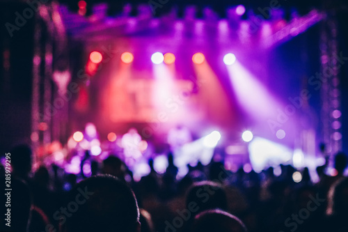 Crowd at concert © Jovica Varga