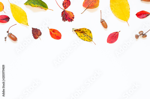 Colorful Autumn leaves concept frame on the white background. Copy space
