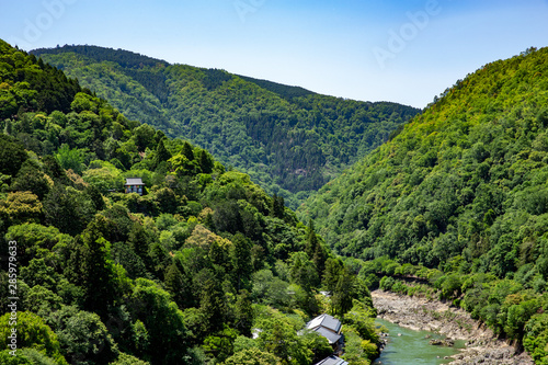 Bewaldetes Tal mit Flusslauf bei Arashiyama in Kyoto
