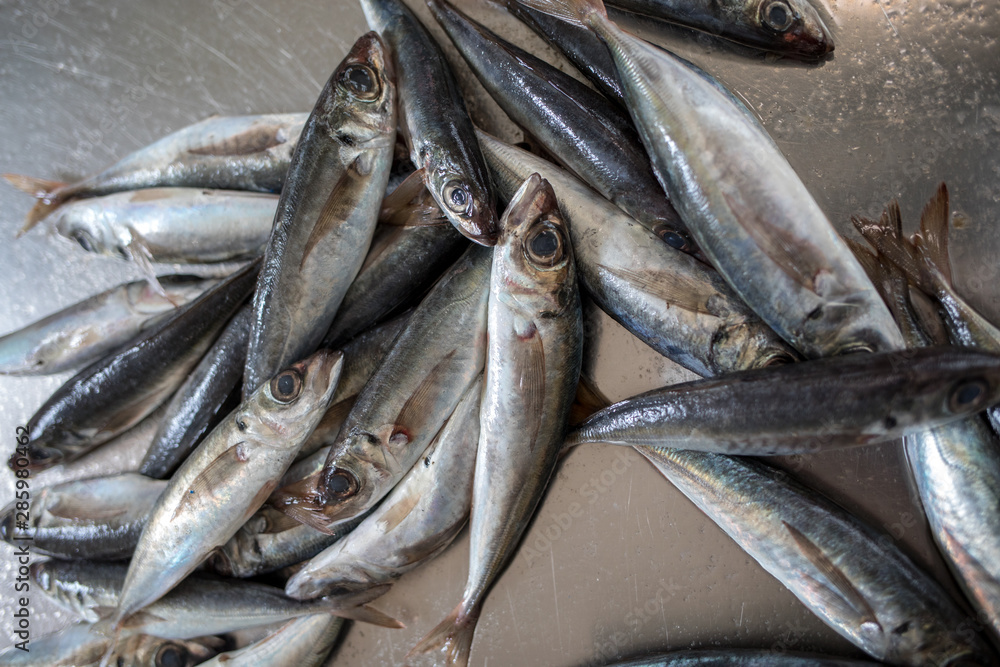 Obraz premium Fresh fish for sale at a fish market