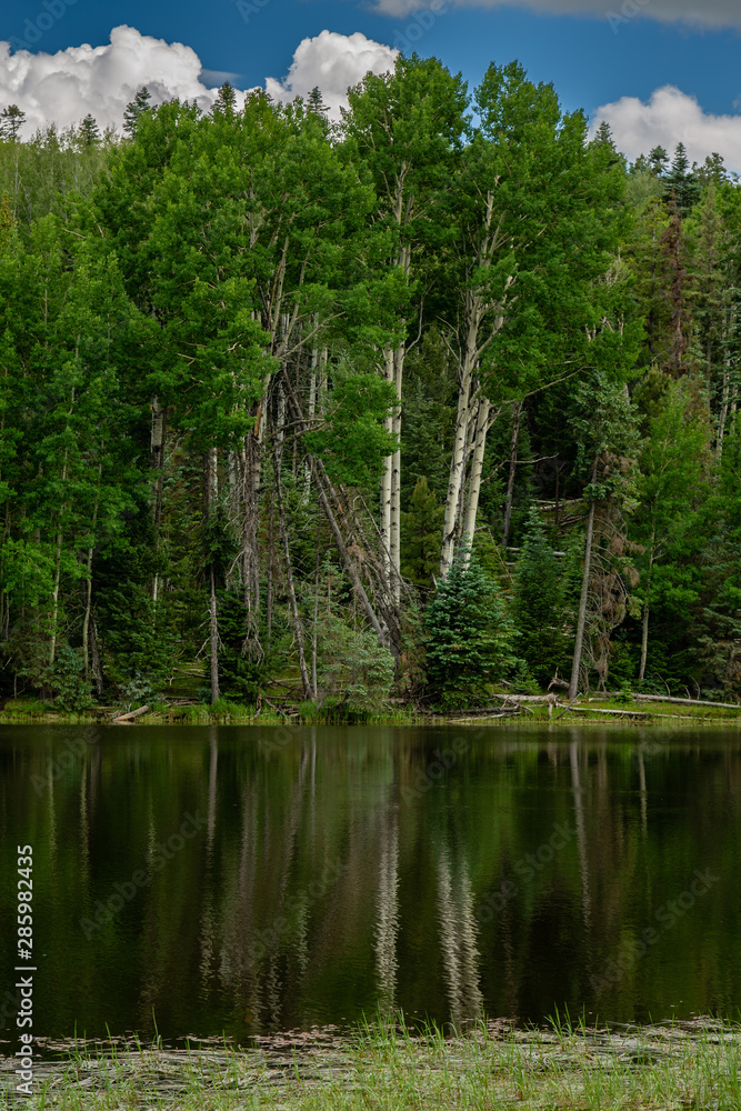 Aspen cast their reflection on Drift Fence Lake in the back country of White Mountains, Arizona.