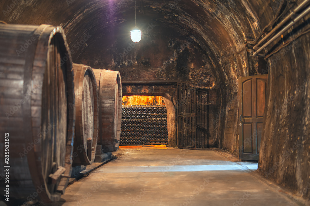 Wine cellar with old large oak barrels