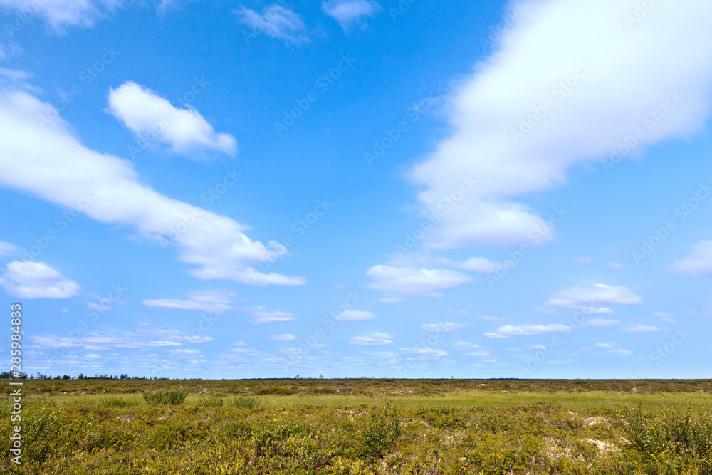 Tundra landscape in the north of Russia against the blue sky with clouds Tundra landscape in the north of Russia against the blue sky with clouds