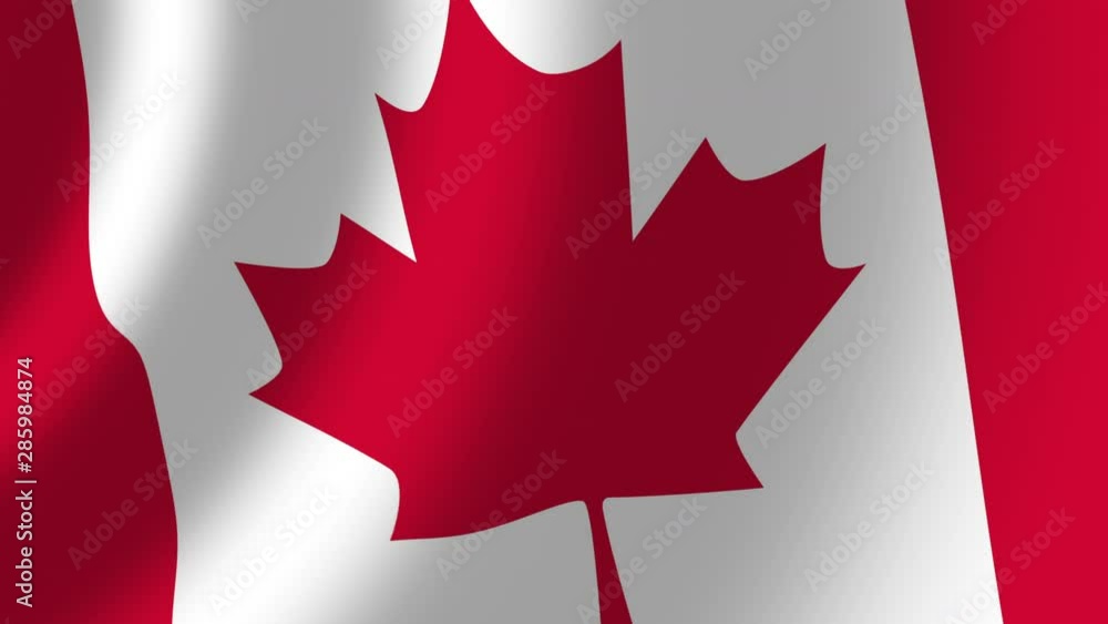Canadian flag waving in the wind seamless loop background. Realistic Canadian Flag background. 4k Canadian flag waving in the wind seamless loop background. Realistic Canadian Flag background. 4k