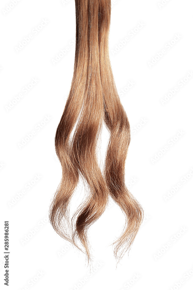 Brown hair, isolated on white background Brown hair, isolated on white background