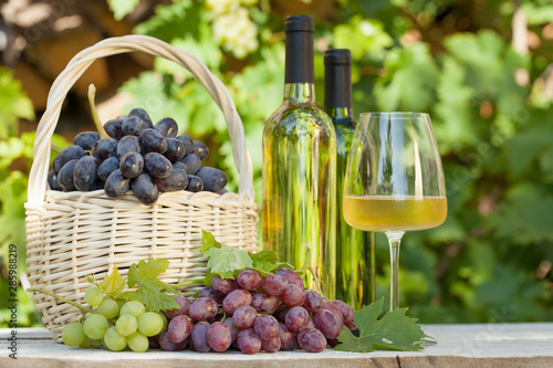 Colorful grapes and white wine