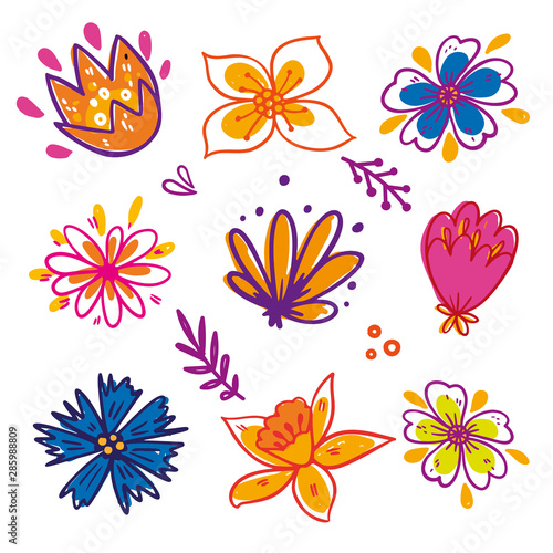 Flower graphic design. Vector set of floral elements with hand drawn flowers.