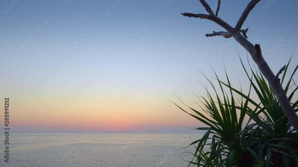 View on a calm sea with palm tree or pandan silhouette during colorful red and blue sunset on a tropical beach View on a calm sea with palm tree or pandan silhouette during colorful red and blue sunset on a tropical beach