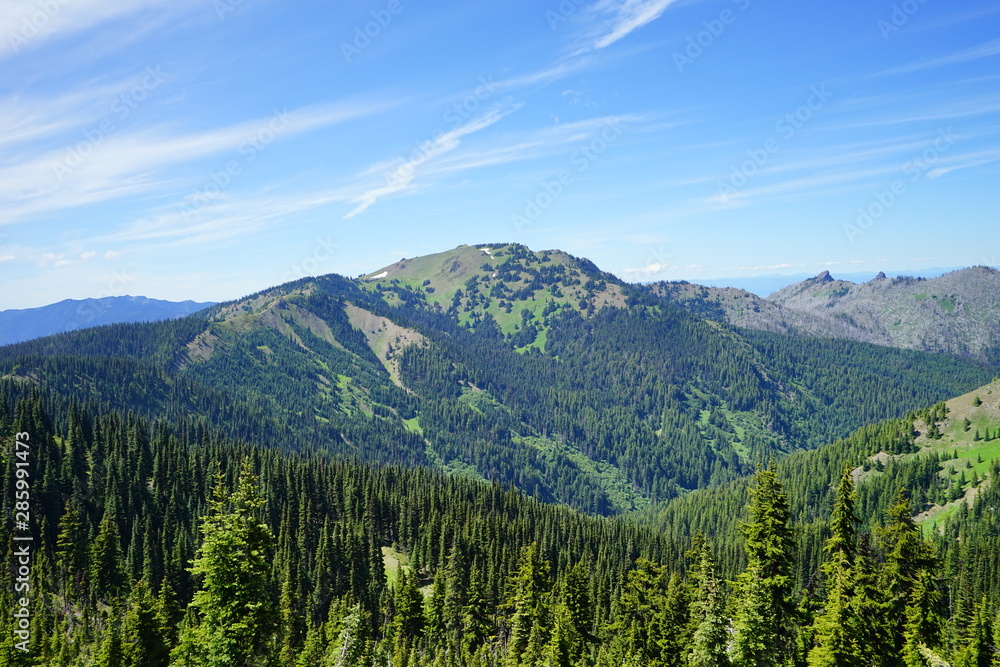 Beautiful  mountains in Olympic National Park in summer in Washington, near Seattle	
