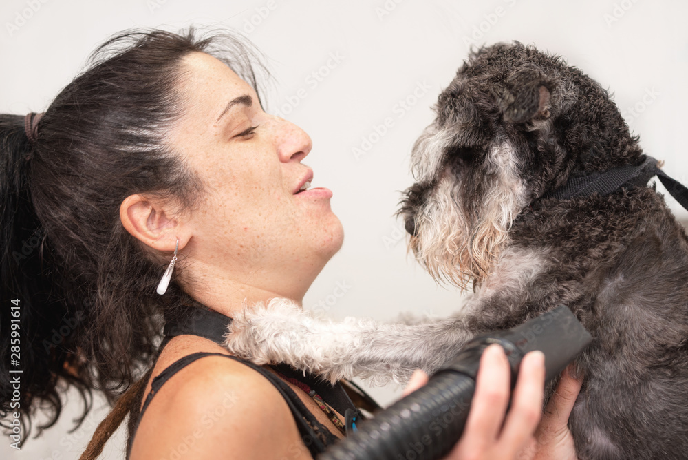 Female pet groomer hugging tenderly a schnauzer dog in grooming salon. Pet love and care concept . Female pet groomer hugging tenderly a schnauzer dog in grooming salon. Pet love and care concept .