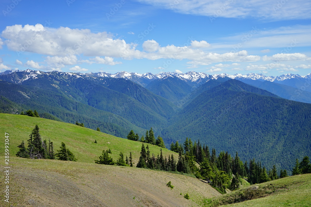 Beautiful  mountains in Olympic National Park in summer in Washington, near Seattle	
