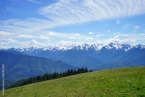 Beautiful mountains in Olympic National Park in summer in Washington, near Seattle