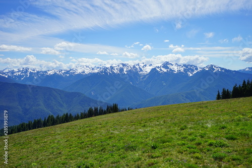Beautiful mountains in Olympic National Park in summer in Washington, near Seattle 