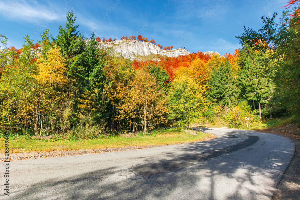 Fototapeta premium serpentine road in apuseni mountains, pietrele negre romania. rocky cliff above the passage. trees in colorful foliage. beautiful and sunny autumn weather. 