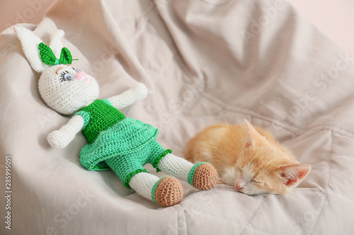 Adorable kitten with toy sleeping on beanbag chair in room