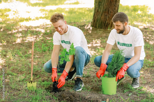Volunteers planting tree in...