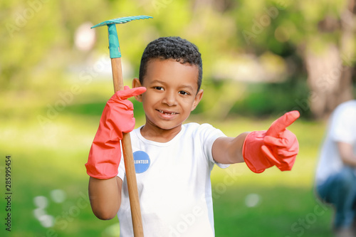 Little African-American vol...