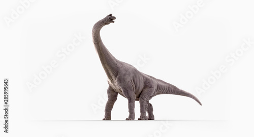 Brachiosaurus © Tina