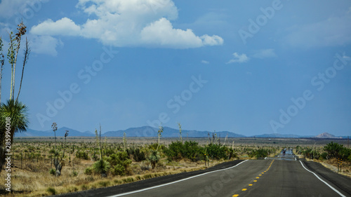 A straight expanse of highway on New Mexico state route 90, north of Lordsburg, south of Silver City through high arid desert with yucca plants