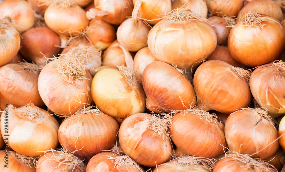 Fresh harvest of golden onions. Can be used as a background (selective focus) Fresh harvest of golden onions. Can be used as a background (selective focus)