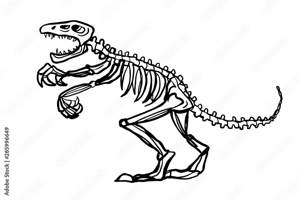 dinosaur fossil cartoon illustration drawing Stock Illustration | Adobe  Stock