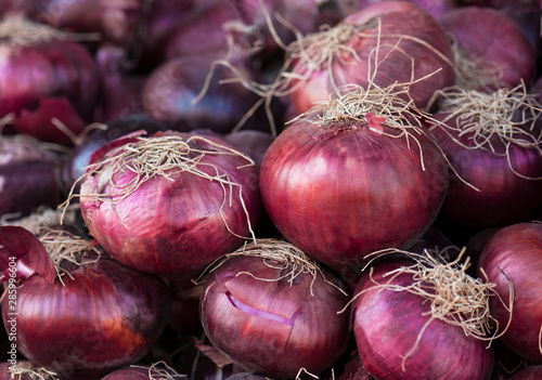  Fresh harvest red onions. Healthy eating. Concept of autumn agricultural harvest (selective focus)