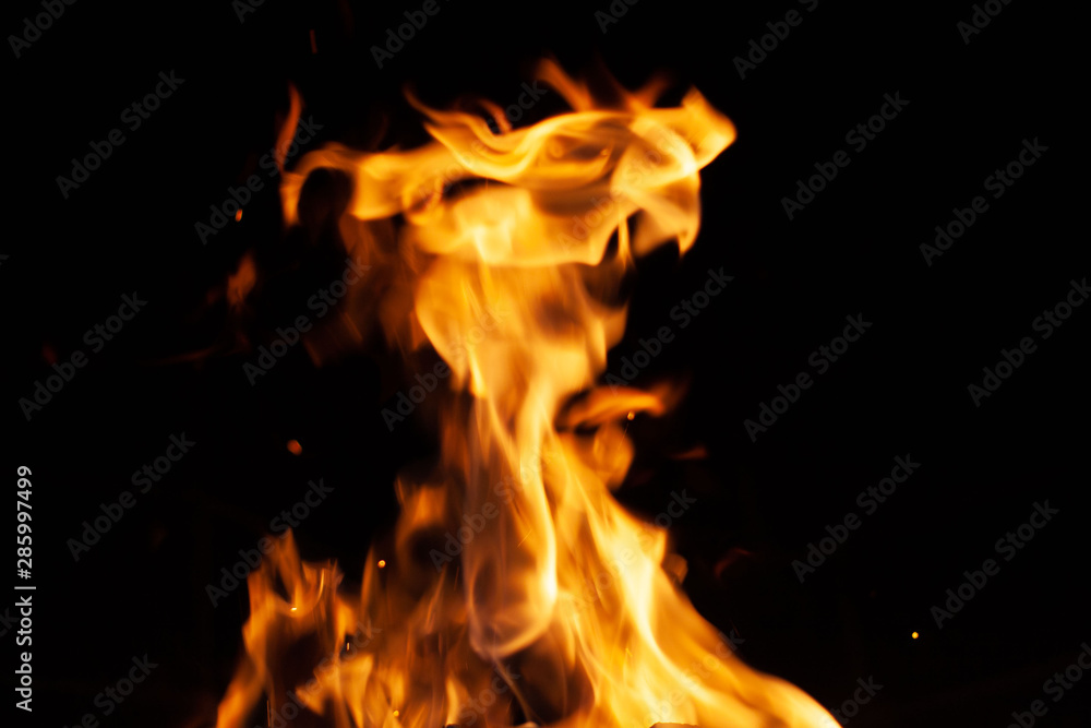 Fototapeta premium Burning firewood in the fireplace close up