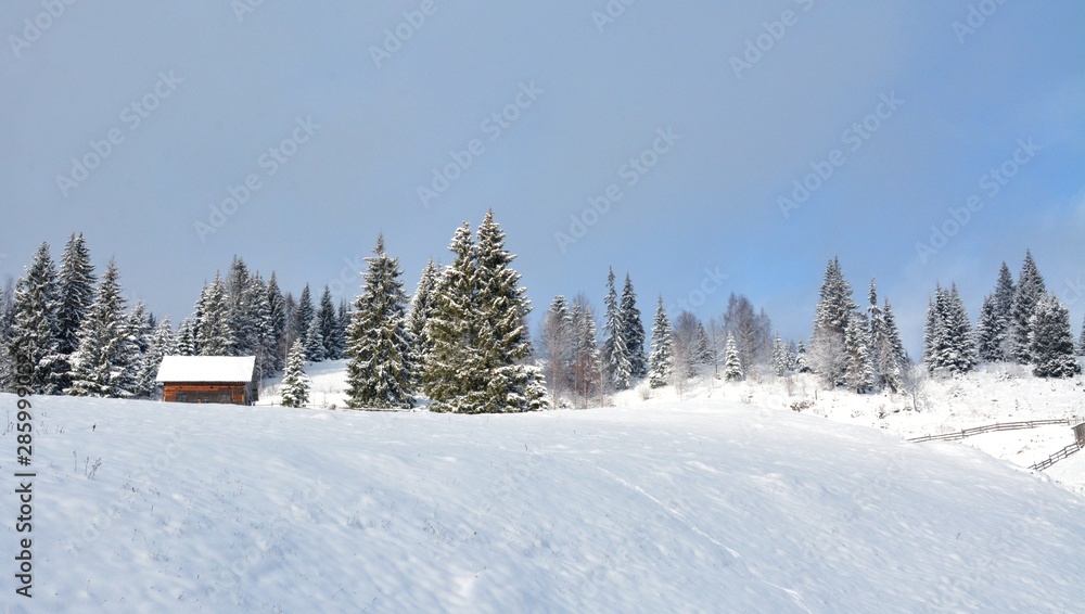 winter in a rural area from Bucovina