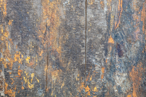 Old Weathered Bluish Cracked Wood Texture