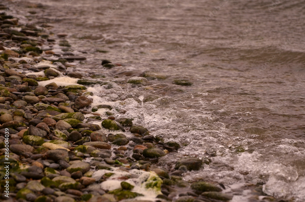 stones in water stones in water