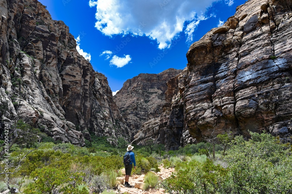 Icebox Canyon Trail