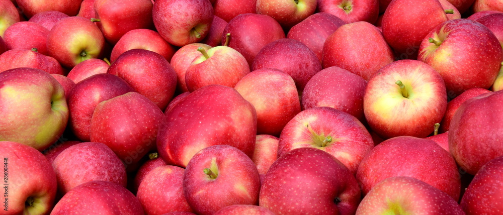 Apfel - rote Äpfel - Apfelernte - Hintergrund und Textur Apfel - rote Äpfel - Apfelernte - Hintergrund und Textur