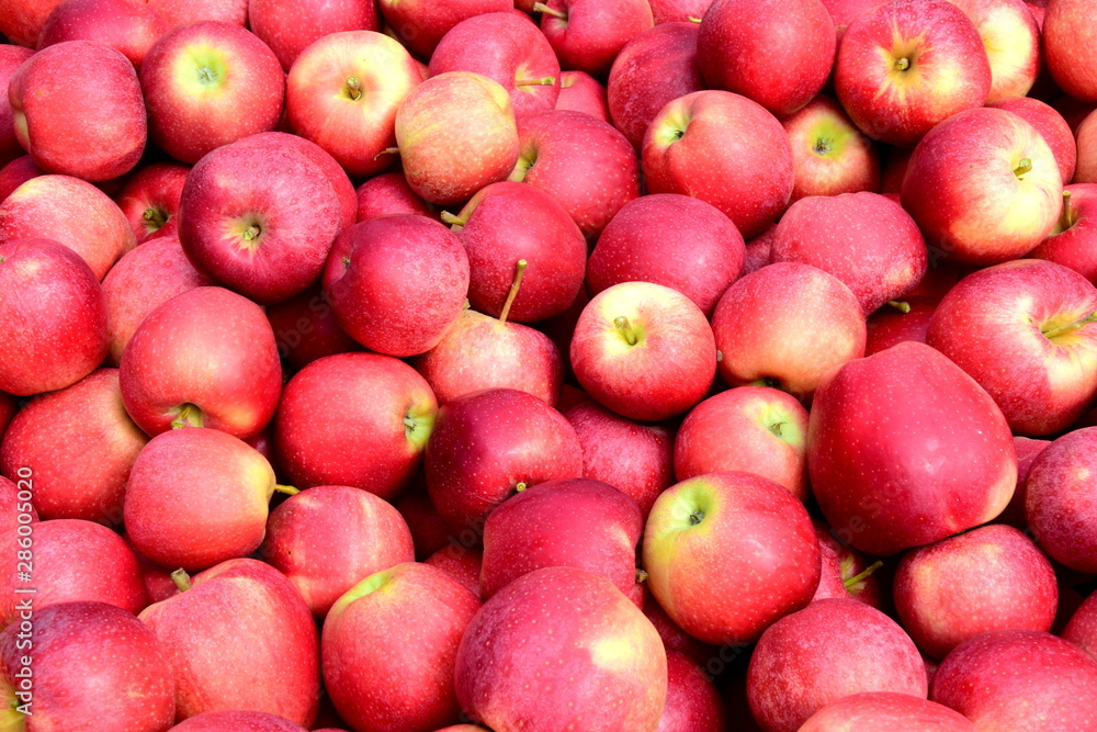 Apfel - rote Äpfel - Apfelernte - Hintergrund und Textur Apfel - rote Äpfel - Apfelernte - Hintergrund und Textur