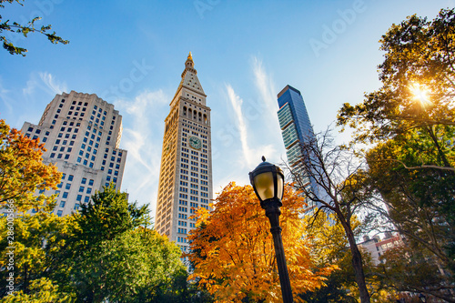 Fototapeta Naklejka Na Ścianę i Meble -  New York City Manhattan,  skyscrapers and colorful trees with reflection.